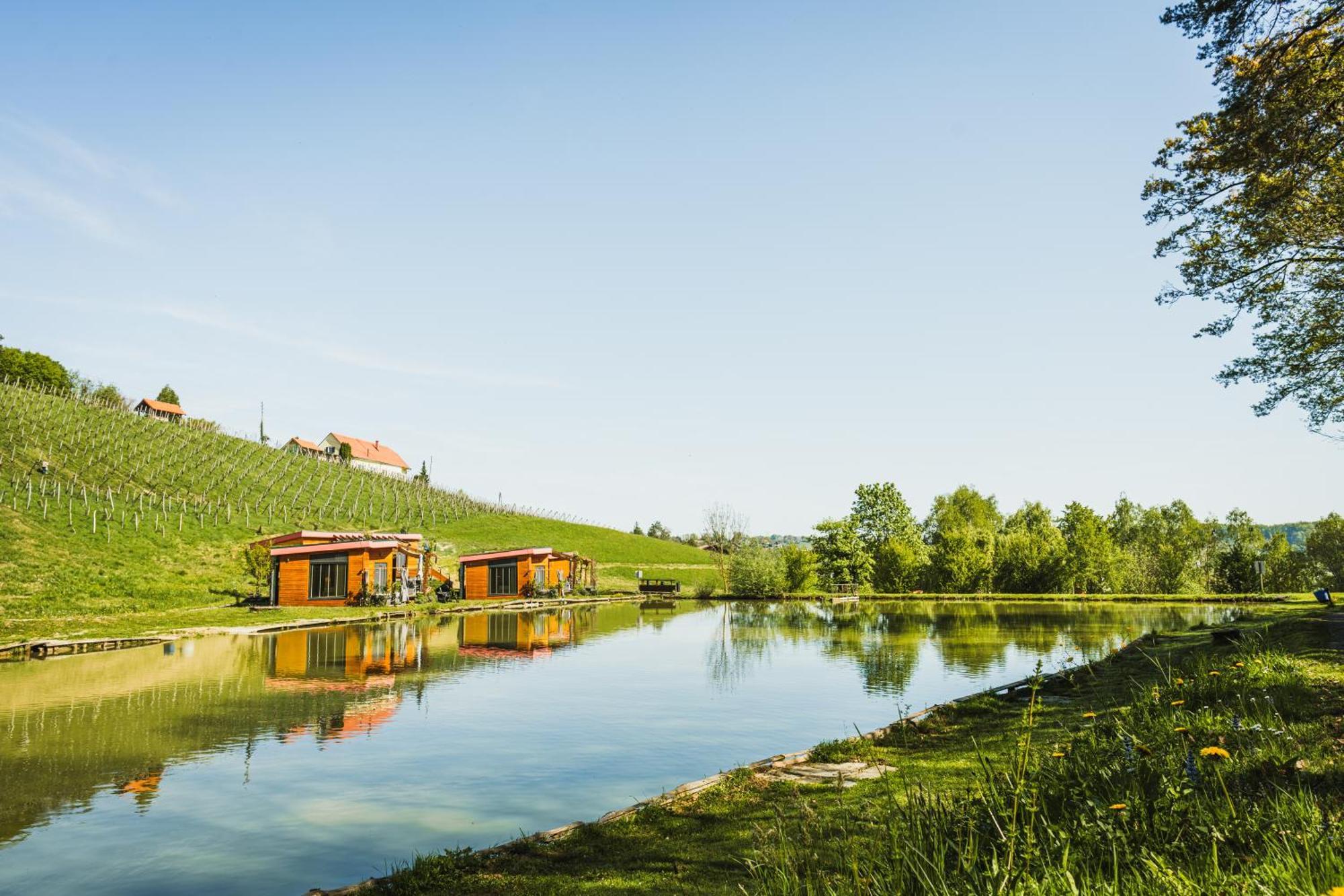 Naturasort Holiday Houses Pesnica pri Mariboru Dış mekan fotoğraf